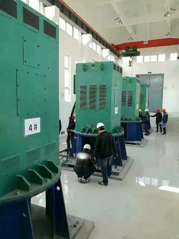 彬县某污水处理厂使用我厂的立式高压电机安装现场